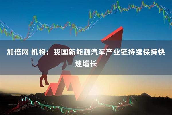 加倍网 机构：我国新能源汽车产业链持续保持快速增长