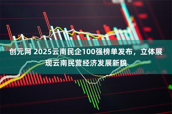 创元网 2025云南民企100强榜单发布，立体展现云南民营经济发展新貌